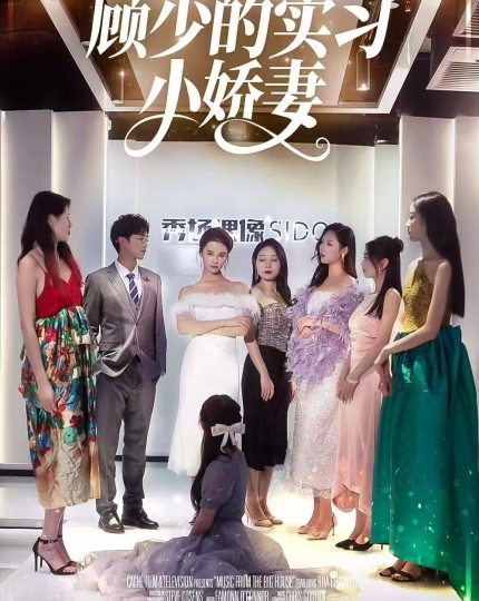 顾少的实习小娇妻